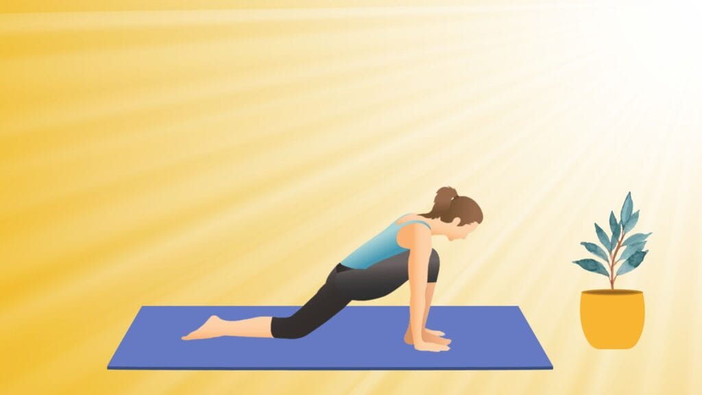Ashwa Sanchalanasana
