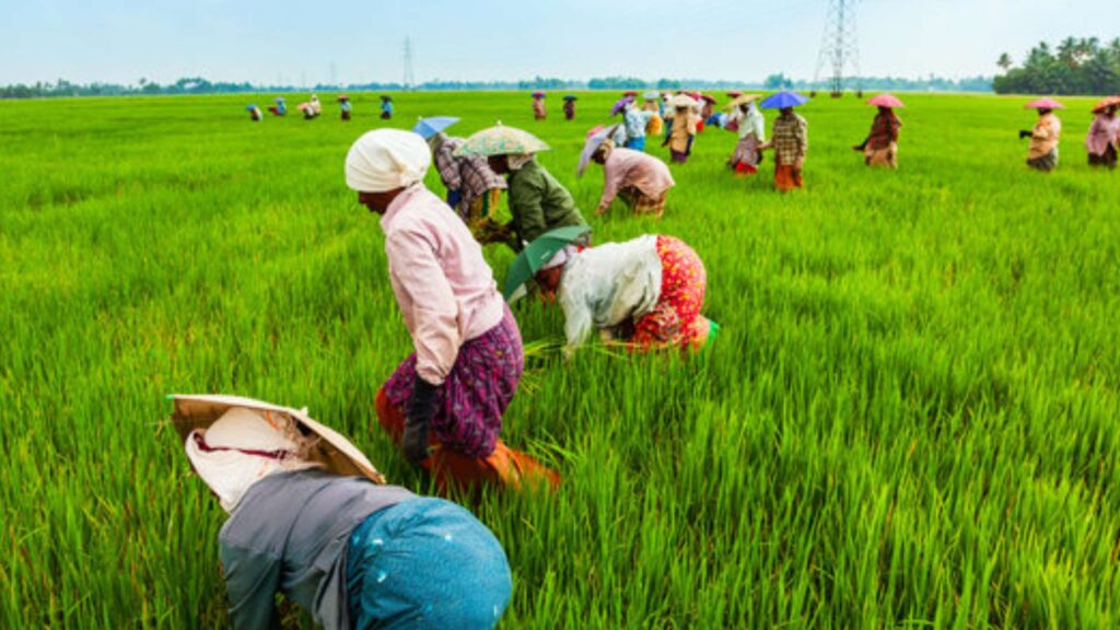 Agriculture